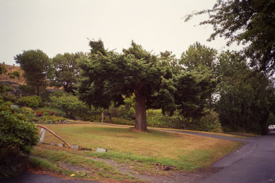 Fall 2010
