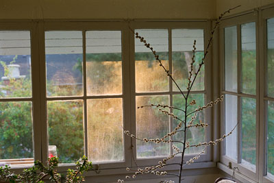 Fall 2012