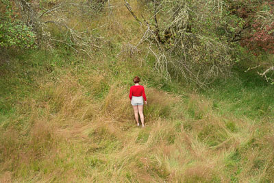 Summer 2012