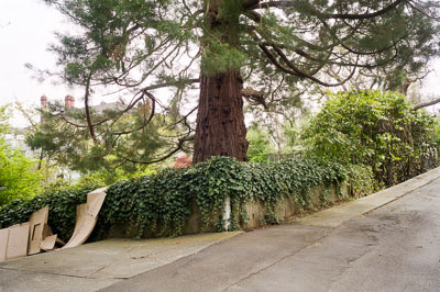 Spring 2012