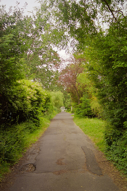 Laneway photograph