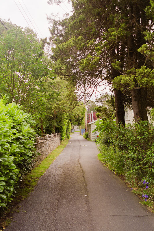 Laneway photograph