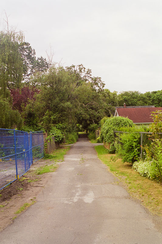 Laneway photograph