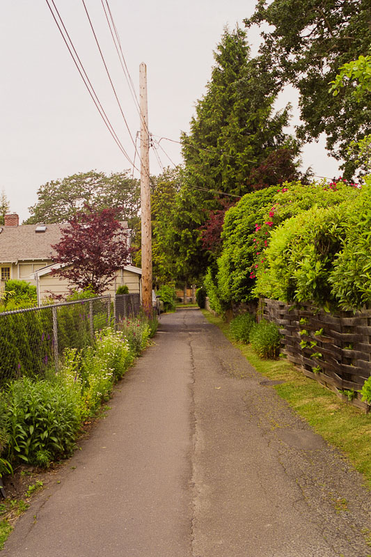 Laneway photograph