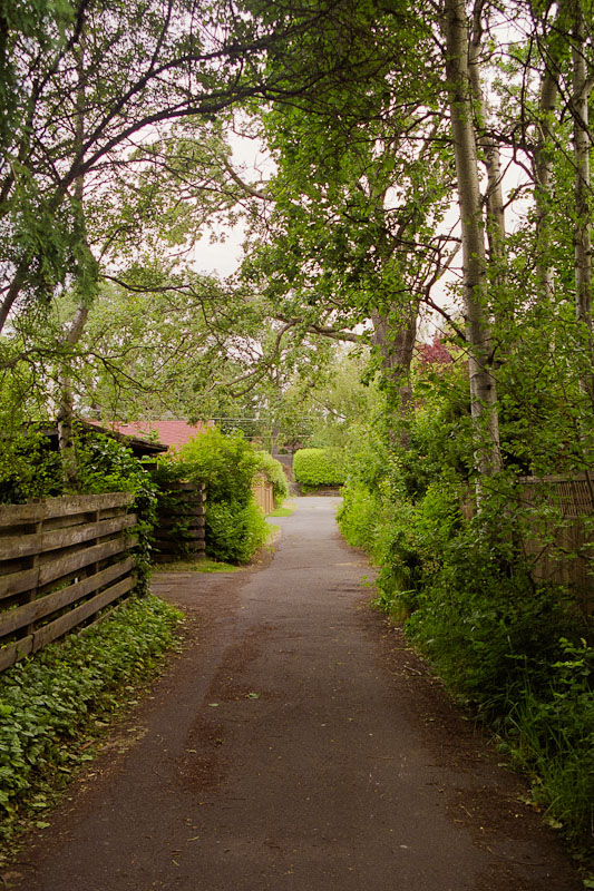 Laneway photograph