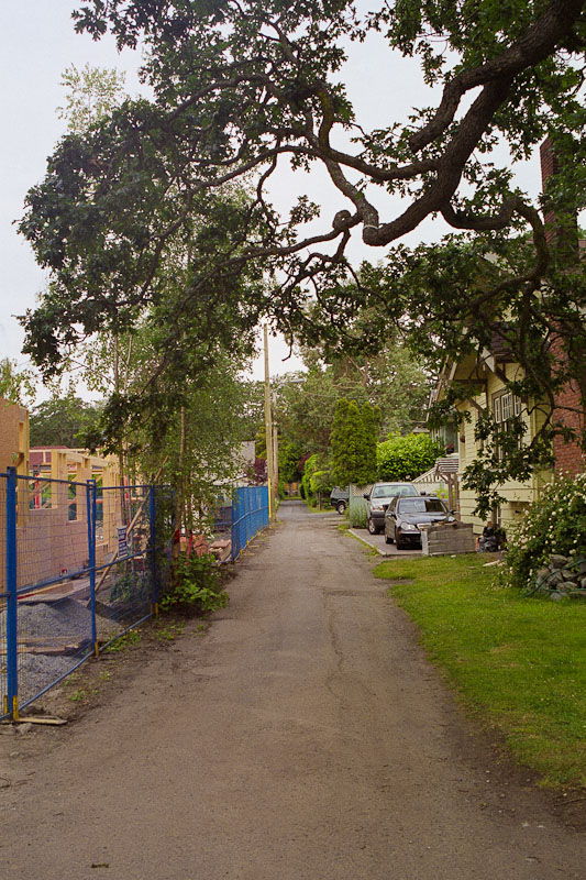 Laneway photograph