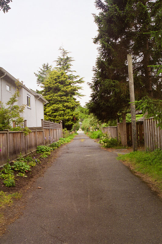 Laneway photograph