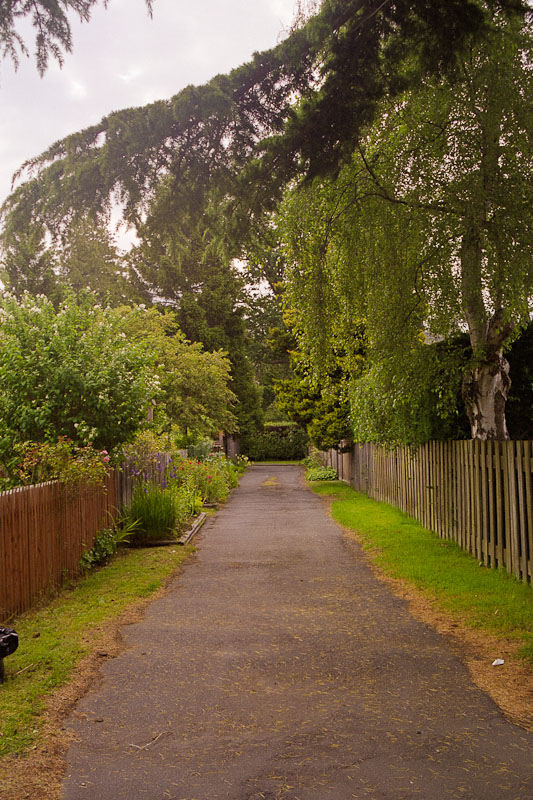 Laneway photograph