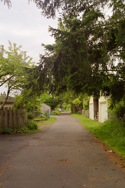 Laneway photograph