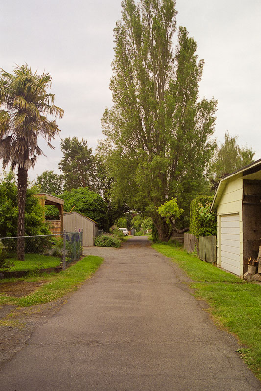 Laneway photograph