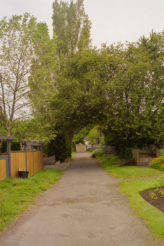 Laneway photograph