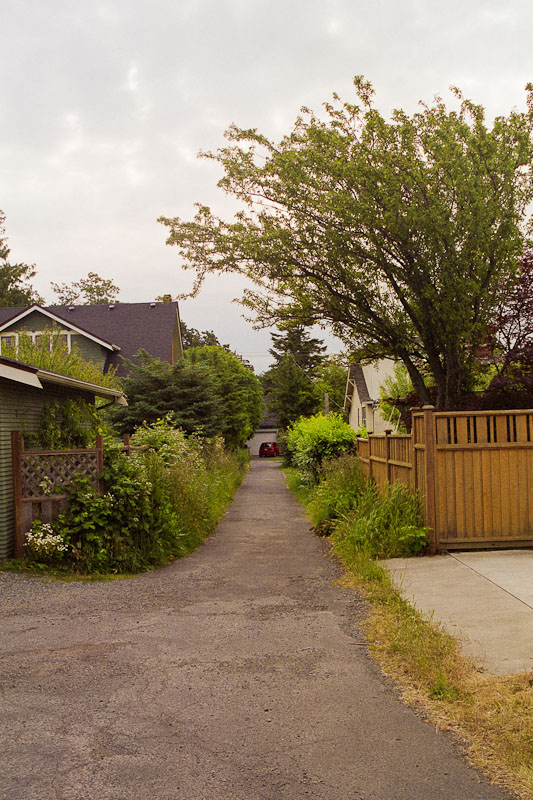 Laneway photograph