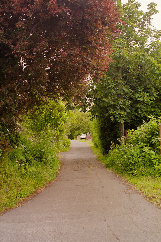 Laneway photograph
