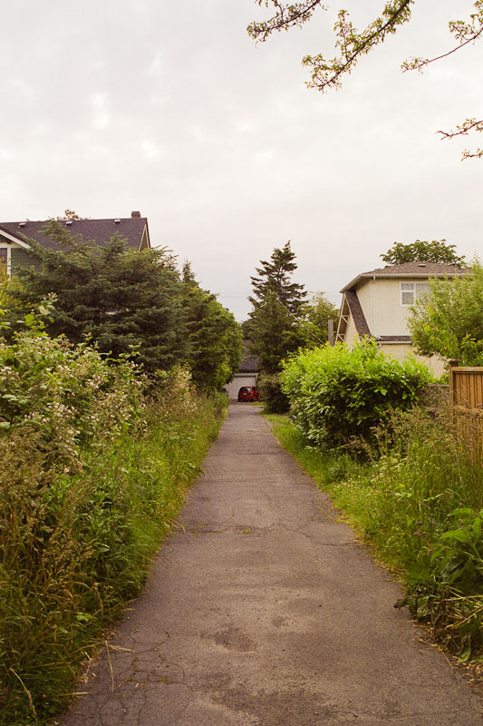 Laneway photograph