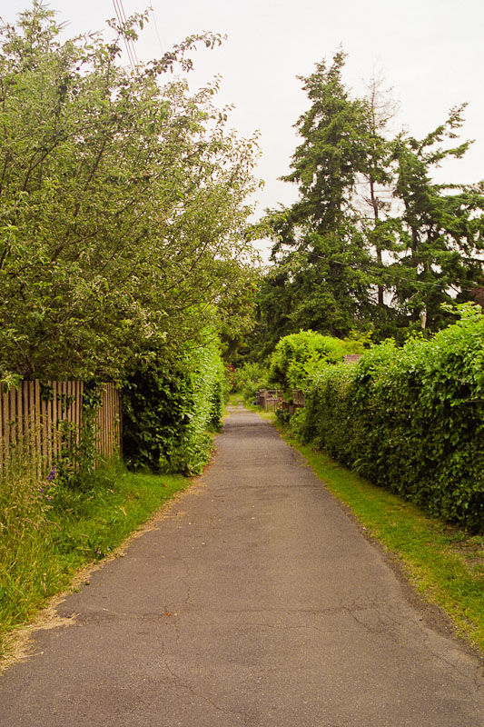 Laneway photograph