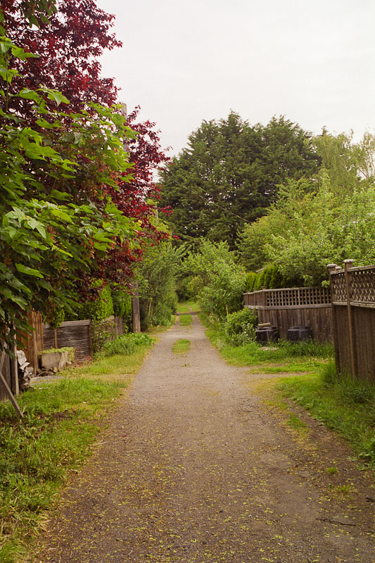 Laneway photograph