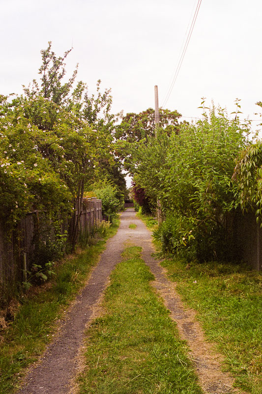 Laneway photograph