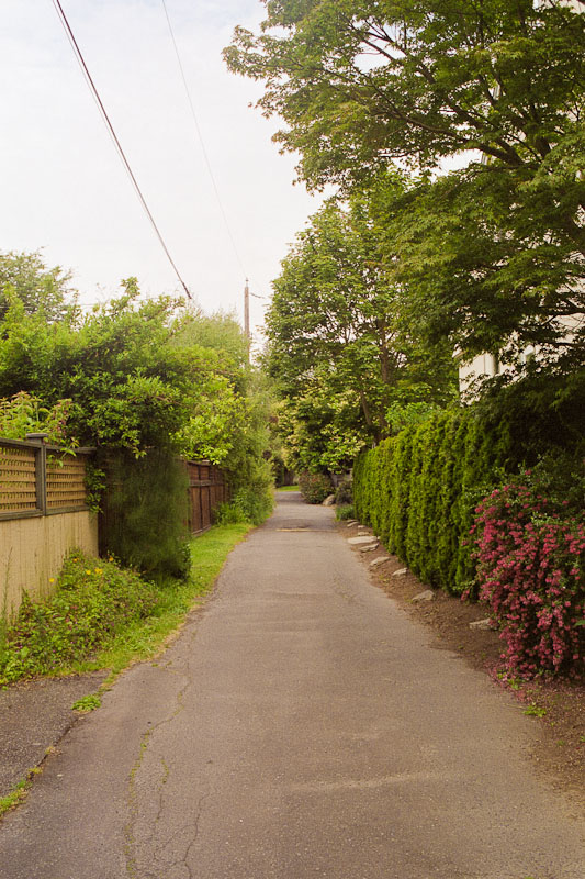 Laneway photograph