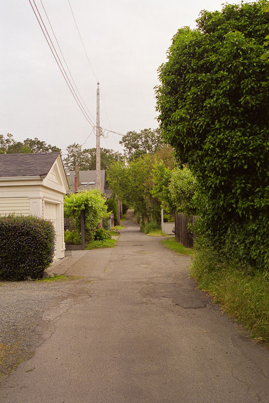 Laneway photograph