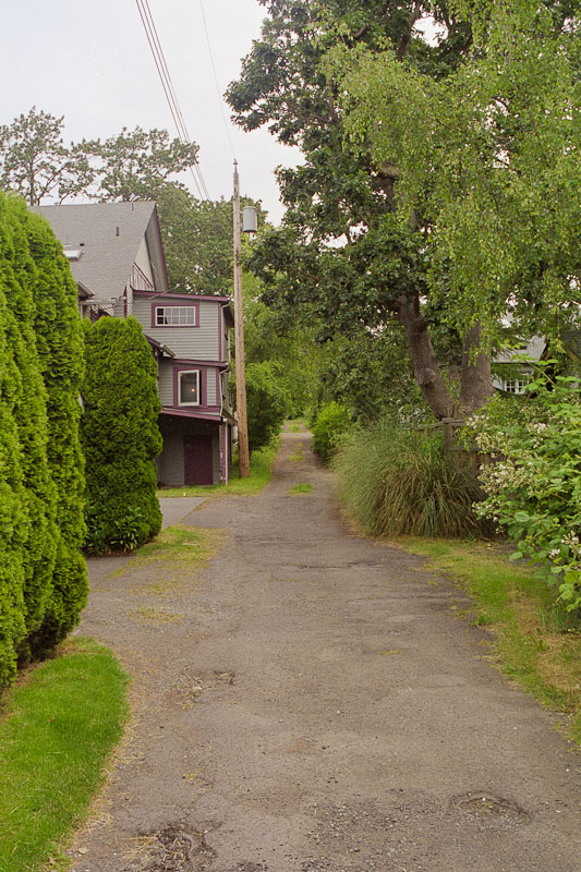 Laneway photograph