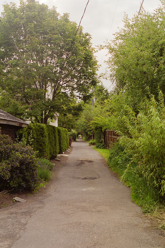 Laneway photograph