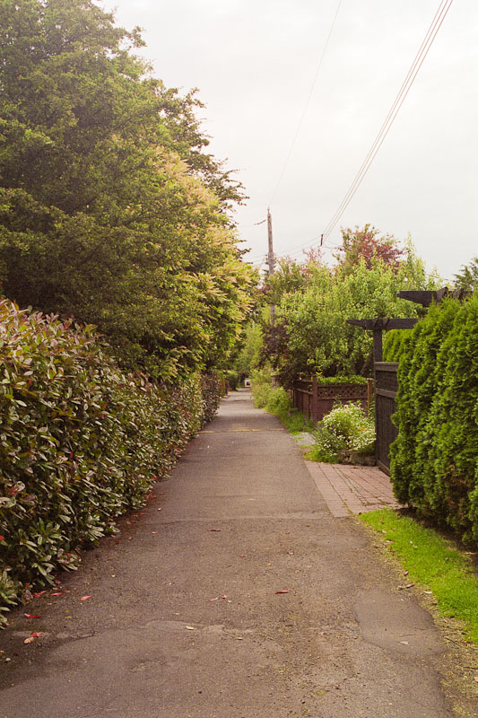 Laneway photograph
