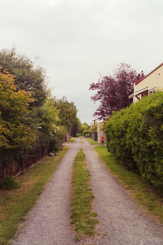 Laneway photograph