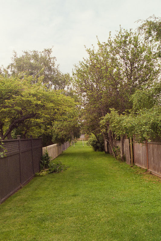 Laneway photograph