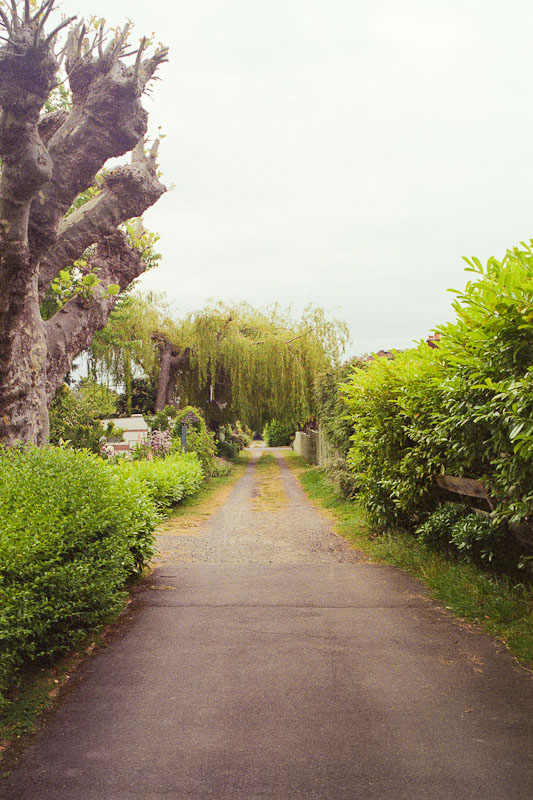 Laneway photograph