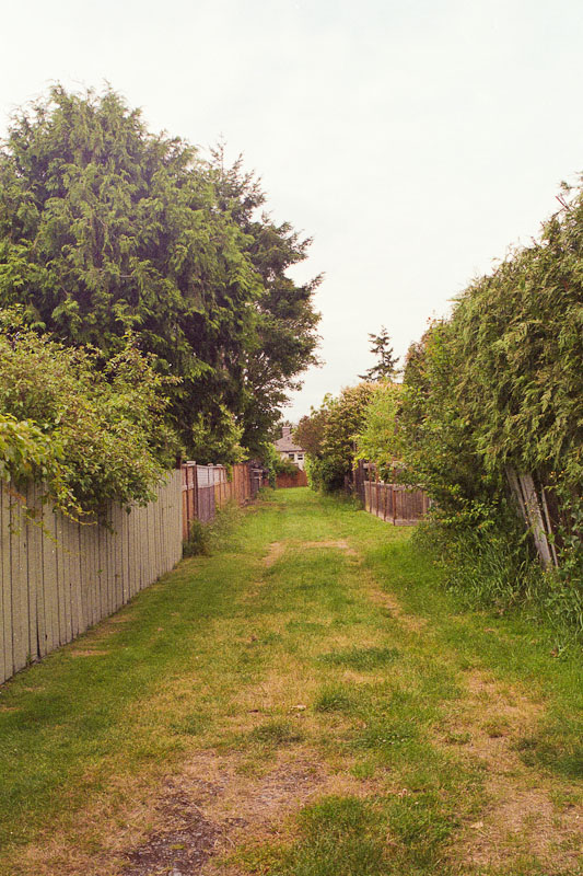 Laneway photograph