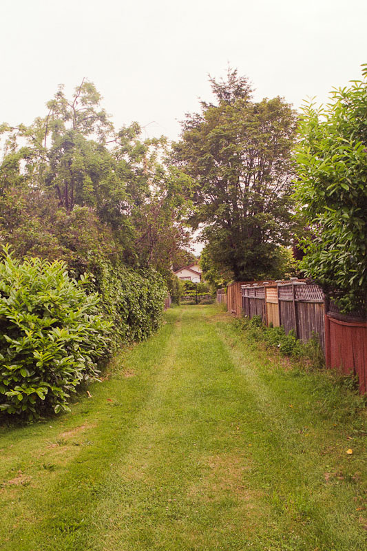 Laneway photograph