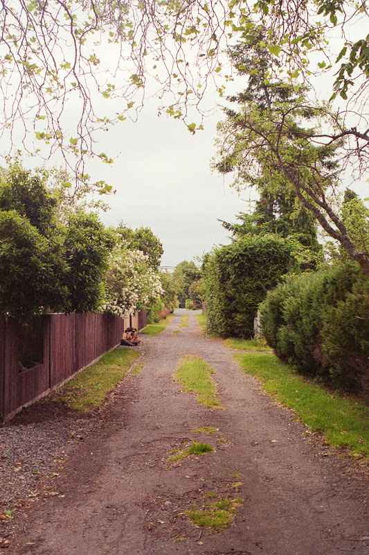 Laneway photograph