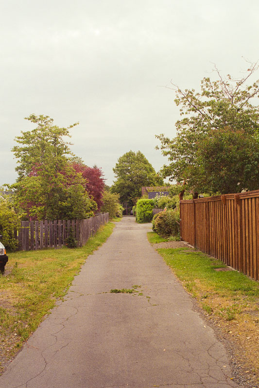 Laneway photograph