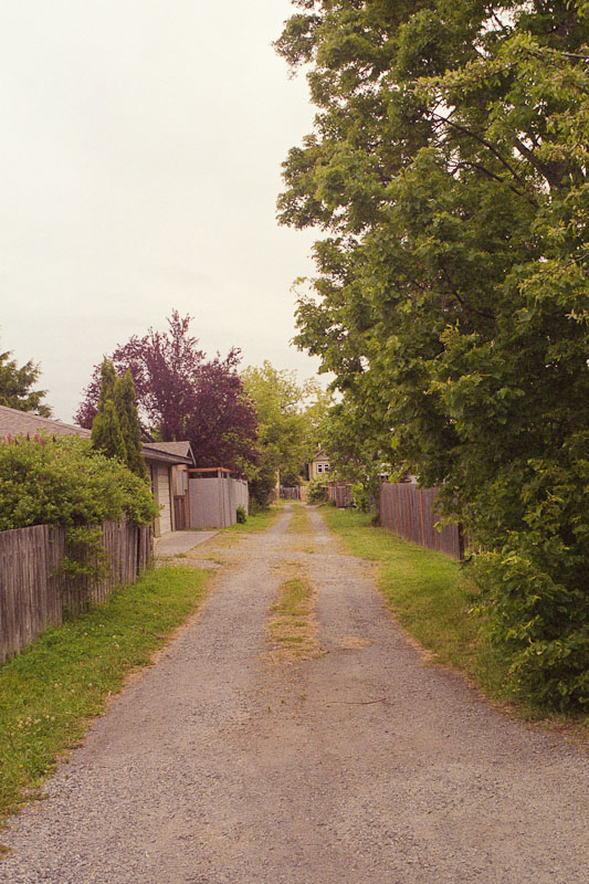 Laneway photograph