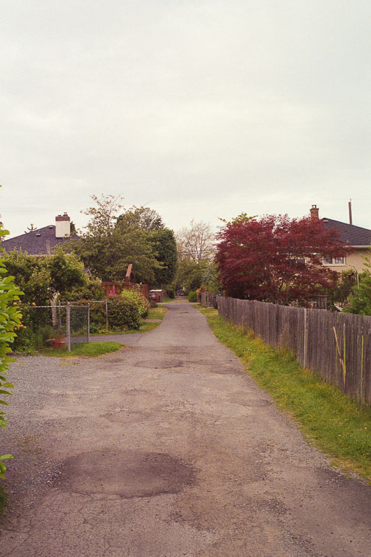 Laneway photograph