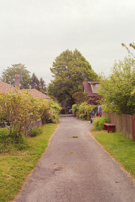 Laneway photograph