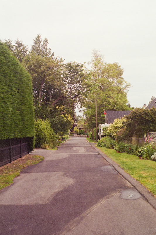 Laneway photograph
