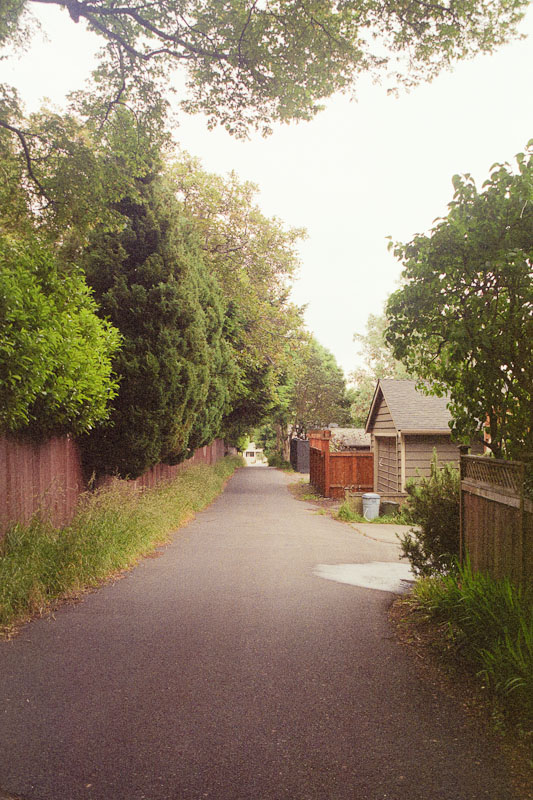 Laneway photograph