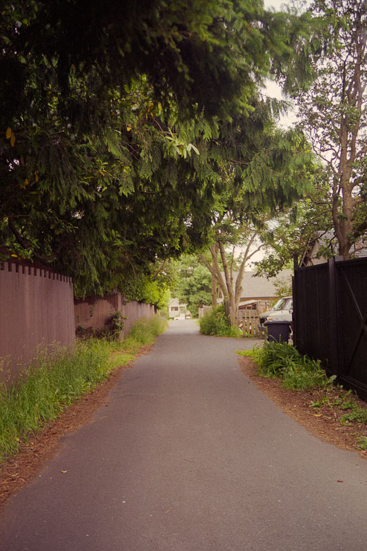 Laneway photograph