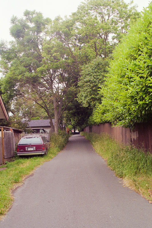 Laneway photograph