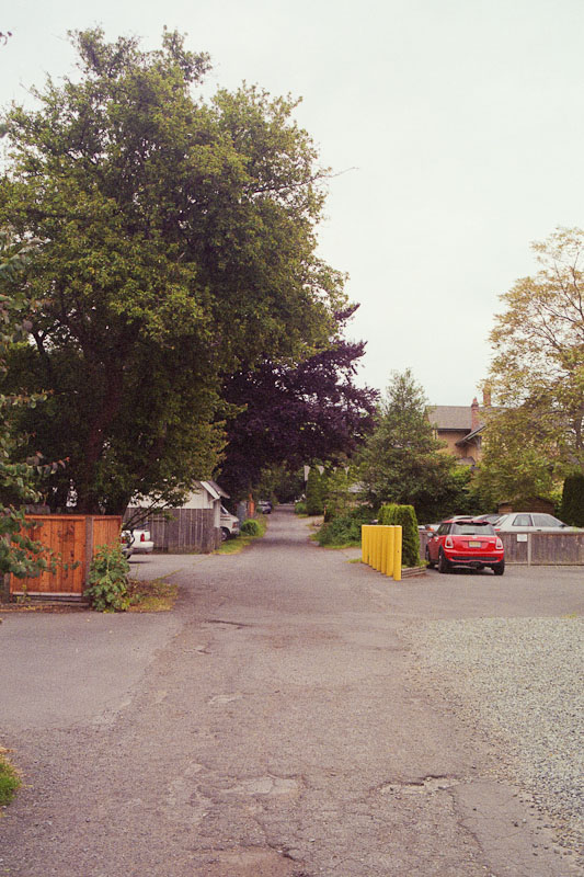 Laneway photograph