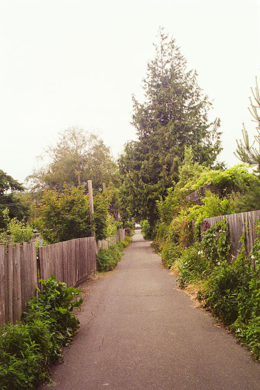 Laneway photograph