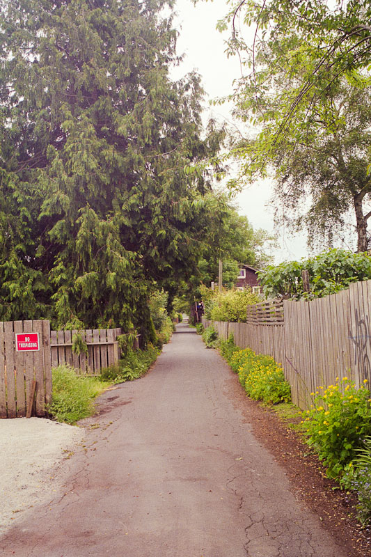 Laneway photograph