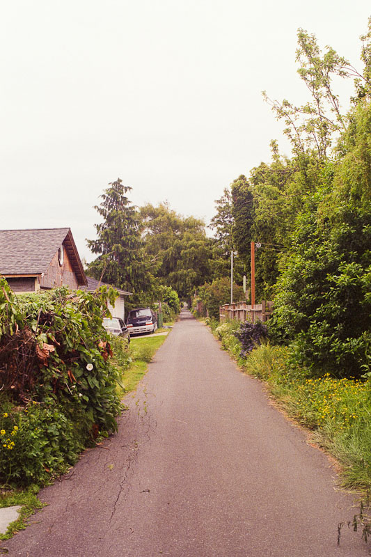 Laneway photograph