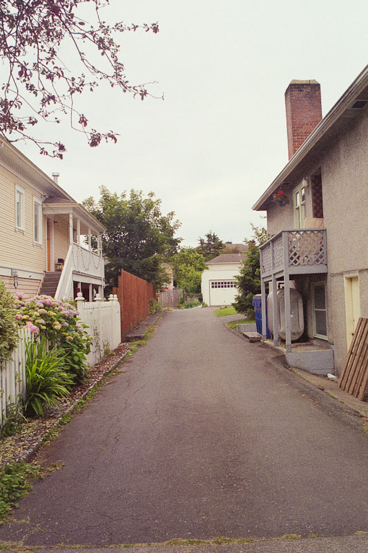 Laneway photograph