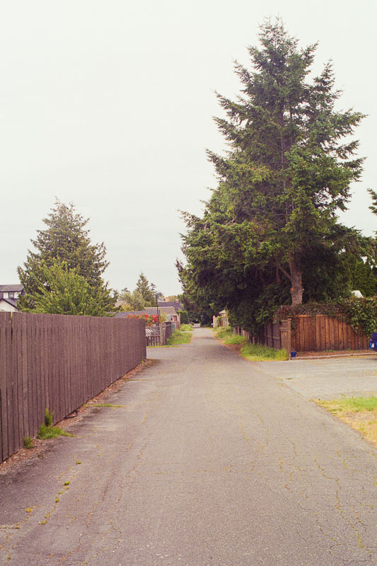 Laneway photograph