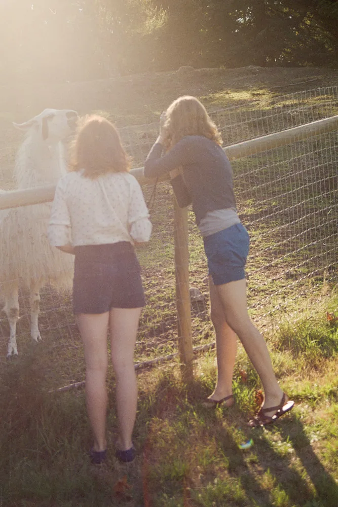 A photograph by Ali Bosworth in the selection 2007