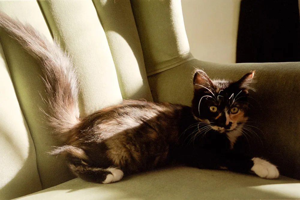 A photograph by Ali Bosworth in the selection 2007