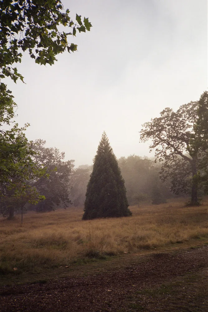A photograph by Ali Bosworth in the selection 2007