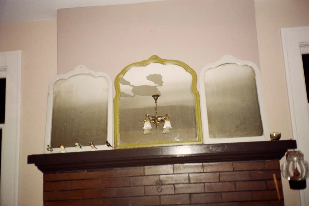 A photograph by Ali Bosworth in the selection Spring 2008